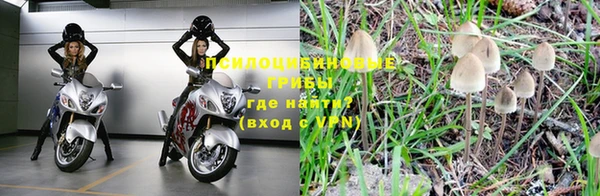 крисы Протвино