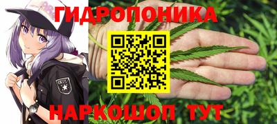 эйфоретик Балахна