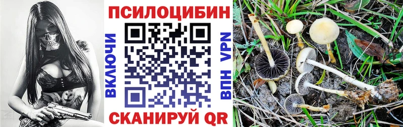 гидра ТОР Волжск Псилоцибиновые грибы мицелий купить