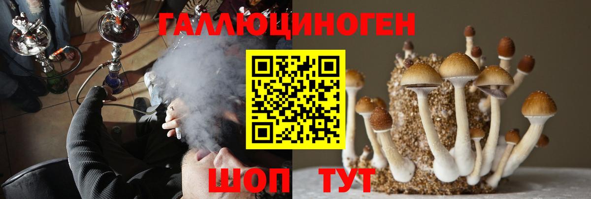 Волжск  Галлюциногенные грибы прущие грибы  Галлюциногенные грибы мухоморы  Вход с VPN 
